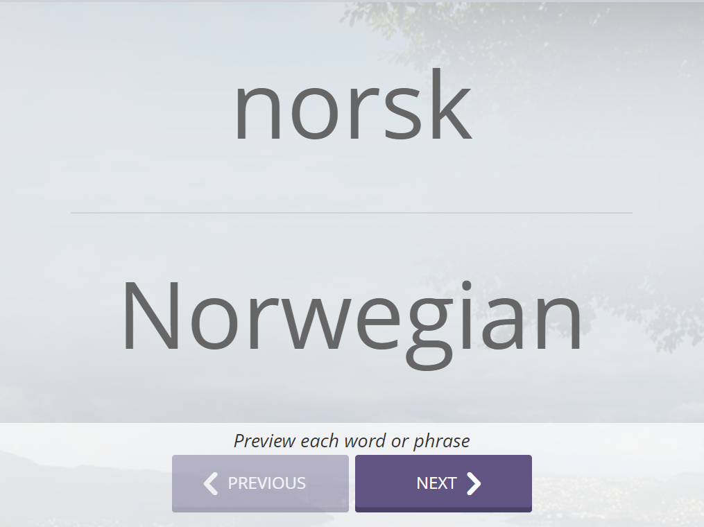 Screenshot. In large text, a word or phrase is displayed in Norwegian, with its English translation below. Text reads “Preview each word or phrase” and there are previous and next buttons.  